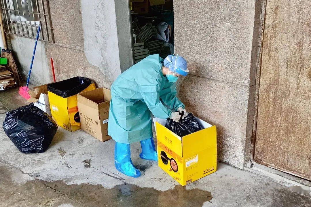 11月17日女短发新风尚，展现力量与自信的演变