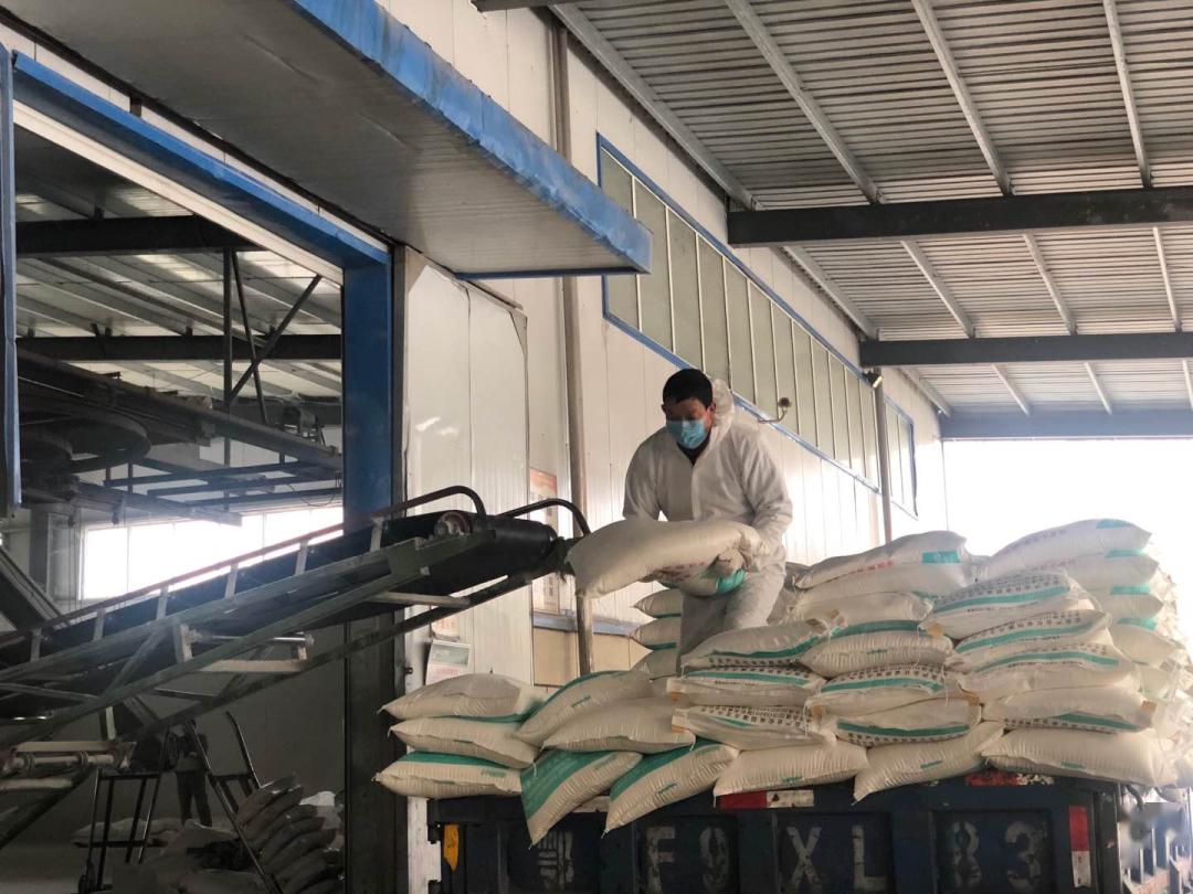 全球粮油市场最新价格动态及分析（2024年11月17日更新）