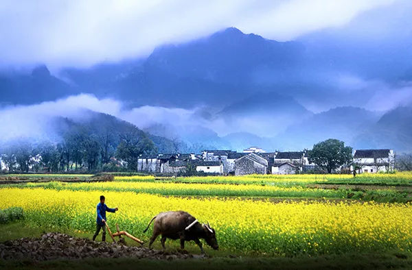 贵阳十一月十七日最新招聘启程，自然美景之旅与内心宁静港湾的探寻
