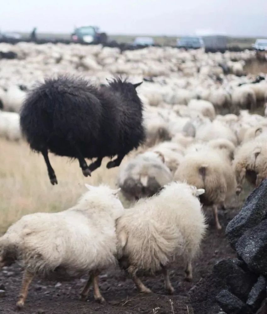 神奇入口与家的温暖故事，历年十一月十七日最新登录体验分享