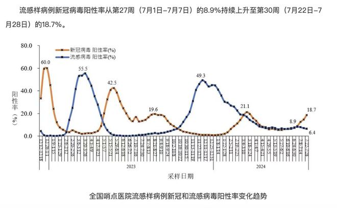 新冠病毒疫情数据最新解读，初学者与进阶用户指南（2024年疫情数据概览）