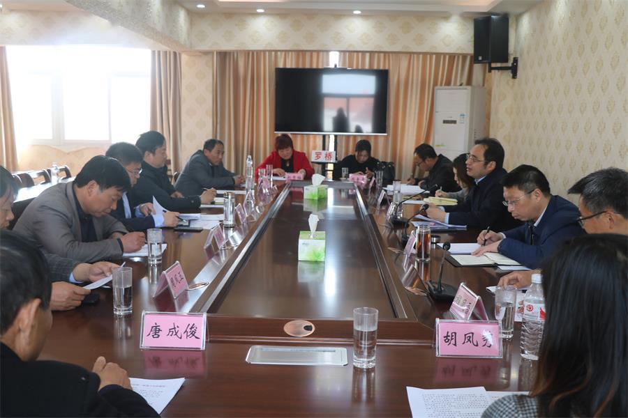 往年11月17日罗蕰河最新进展回顾与前瞻，罗蕰河最新动态展望及展望分析