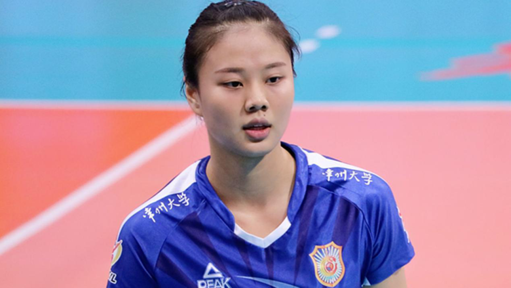 11月17日更新，女排之星王丽娜的最新动态与不懈的追梦之旅