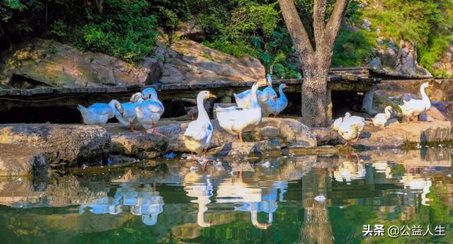 昭宗社区新规划图揭秘,自然美景探险之旅与心灵宁静港湾的探寻