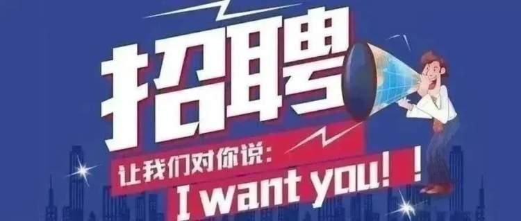 历史上的桥林工业园招聘高峰揭秘，探寻背后的故事与最新招聘信息