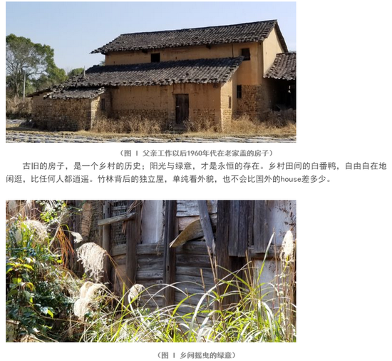 揭秘申万宏源最新价背后的故事，小巷深处的独特风味探索