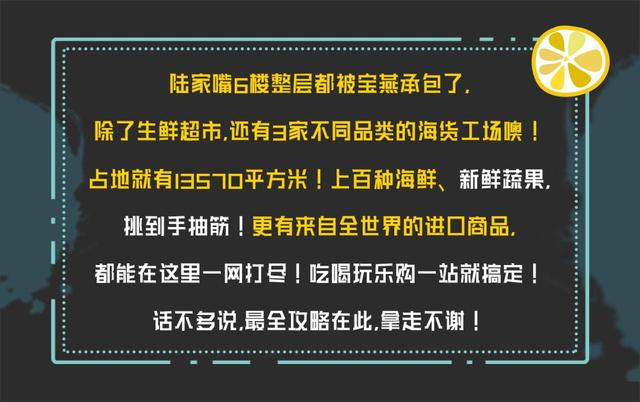 天津LG招聘最新信息深度解析，历史上的11月17日招聘信息回顾