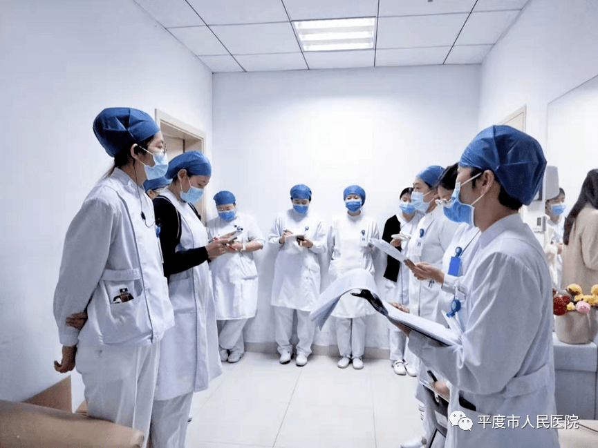 山东鸡苗最新价格揭秘，爱与陪伴的日子里遇见温情故事在今日山东鸡苗市场