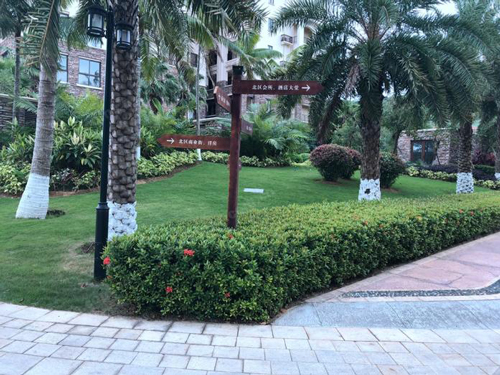 11月园林e家，最新苗木求购信息，绿意盎然家园打造指南