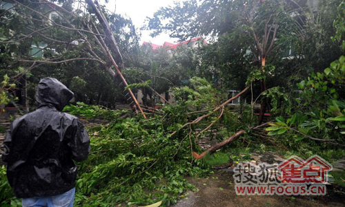 往年11月17日台风纳莎的最新动态与消息汇总