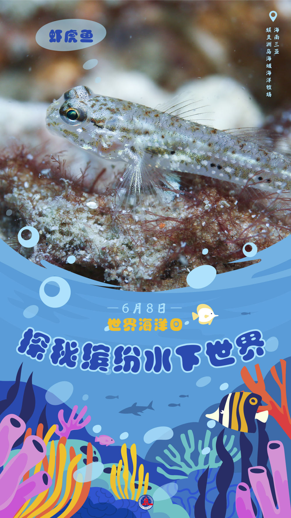 最新几大洋探索揭秘，未知海域的探讨与观点阐述