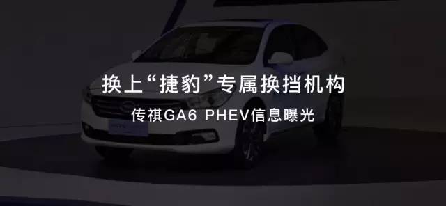 2024年标志508最新报价深度解析，关注未来