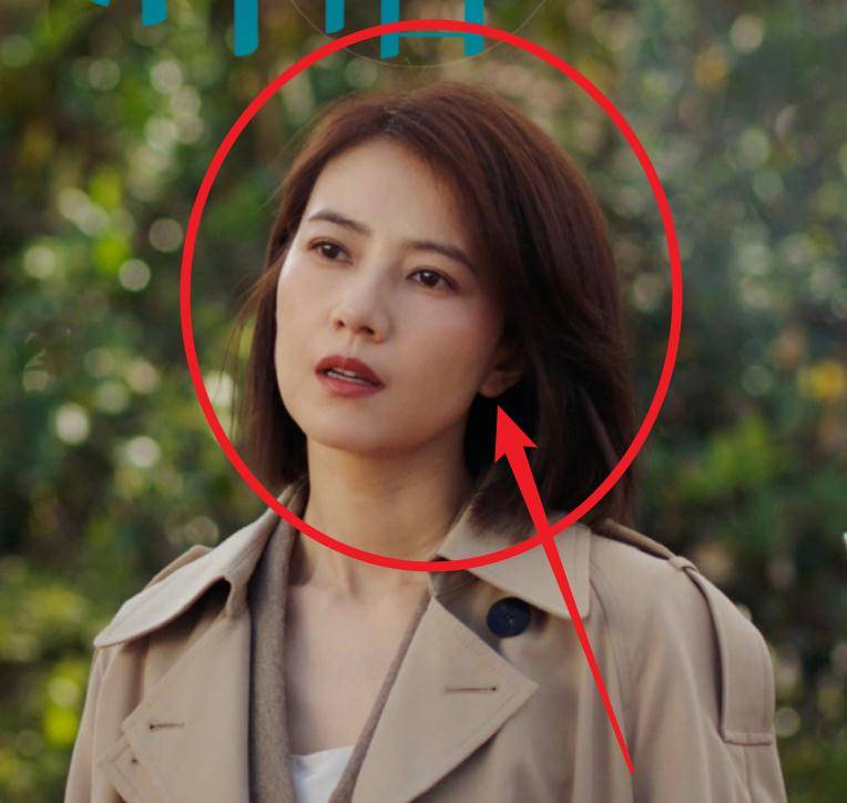 高圆圆最新动态引爆热议，星光闪烁的争议焦点，11月17日最新消息