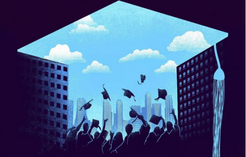 往年11月17日渡情回顾与深度分析，最新观点阐述与洞察