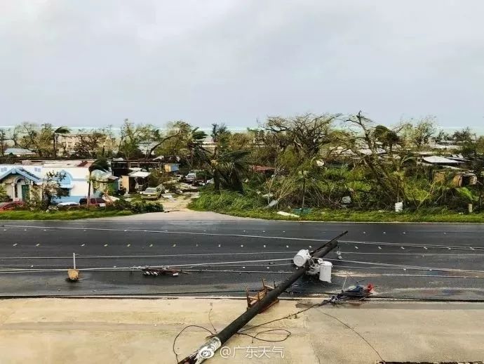 2024年11月 第14页