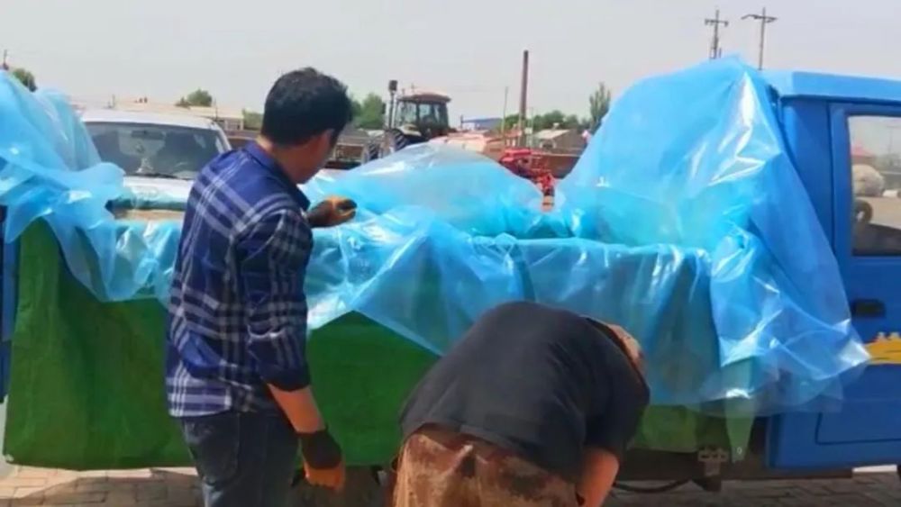 2024年12月3日 第8页