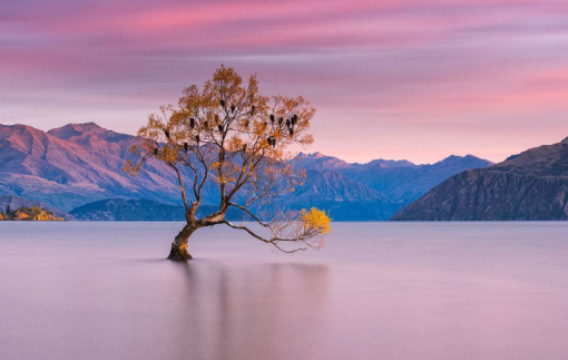 11月最新投屏技术，探索自然美景之旅，11月最新投屏技术带你远离尘嚣，发现内心的宁静与平和