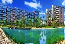 2024年12月4日 第20页