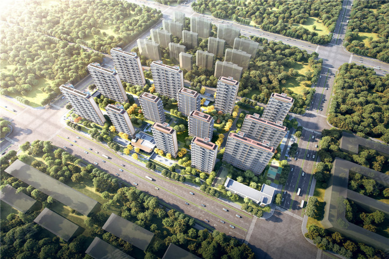 紫薇花园洲十一月十七日的最新进展与温馨日常时光