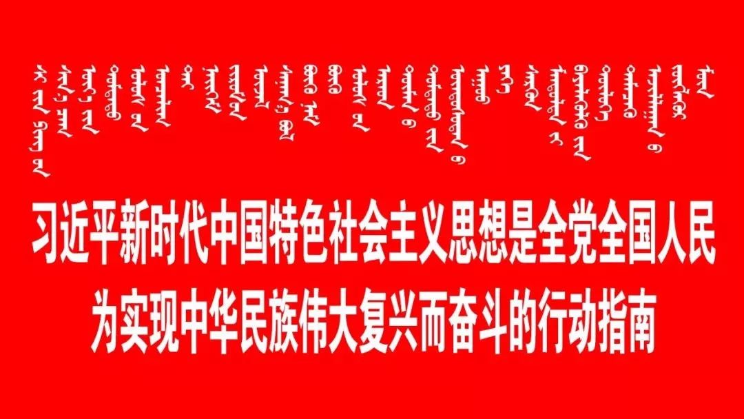 历史上的11月17日与微信最新动态深度解析及观点阐述