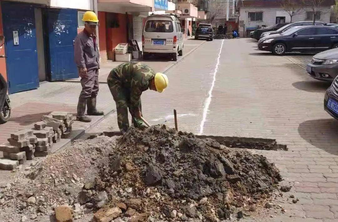 11月ze最新地图，驾驭新地图，学习变化，自信成就未来——在11月ZE新地图的启示下