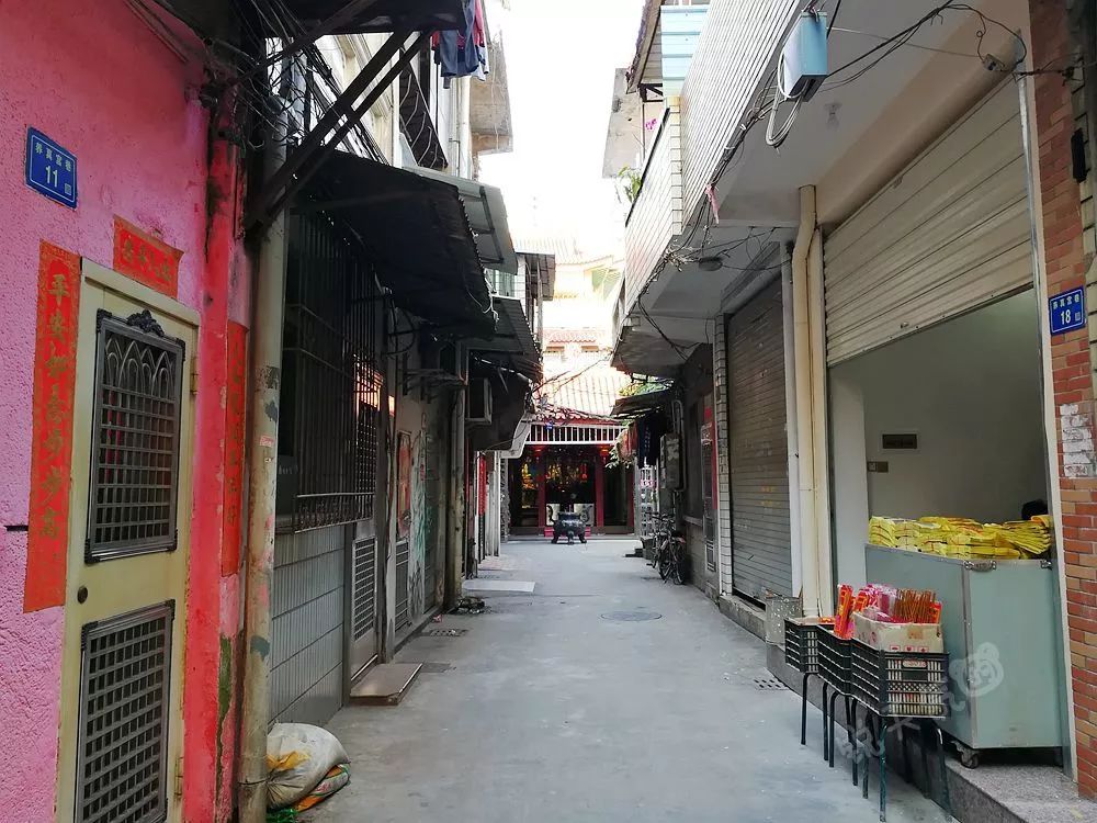 临武新闻网最新热点揭秘，小巷特色小店探秘与临武资讯更新