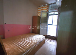 全椒租房奇遇记，11月17日最新租房信息与温馨家园的缘分相伴