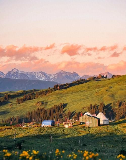 探寻自然美景之旅，历史上的11月17日与内心的宁静与平和探索日