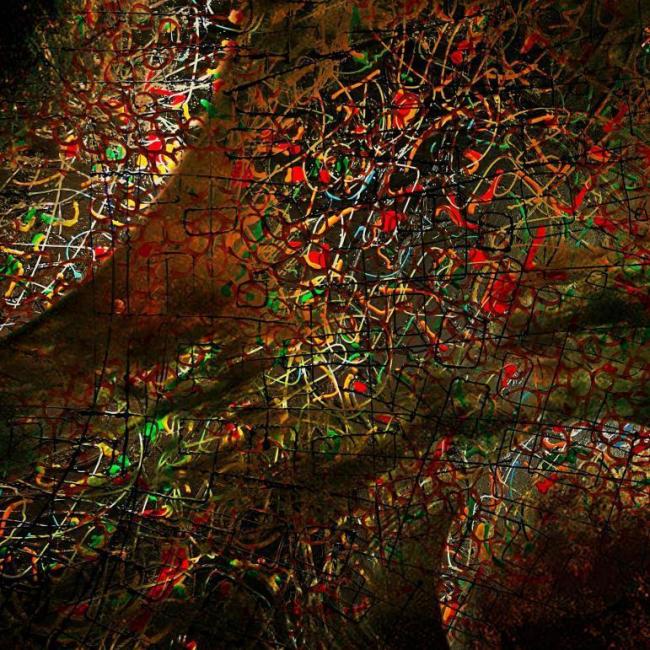 猪禽流感最新动态分析，多元视角下的深度解读