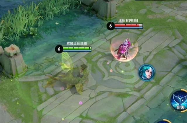 王者荣耀庄周最新出装解析与英雄地位回顾,11月17日的转变