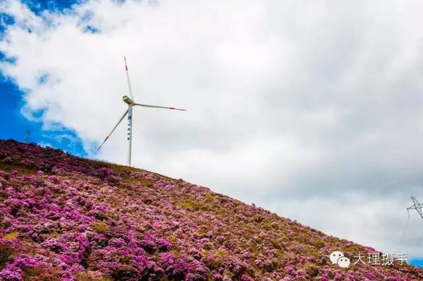 禁播影片背后的美景,自然之旅的启示与呼唤