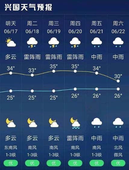 2024年12月7日 第10页