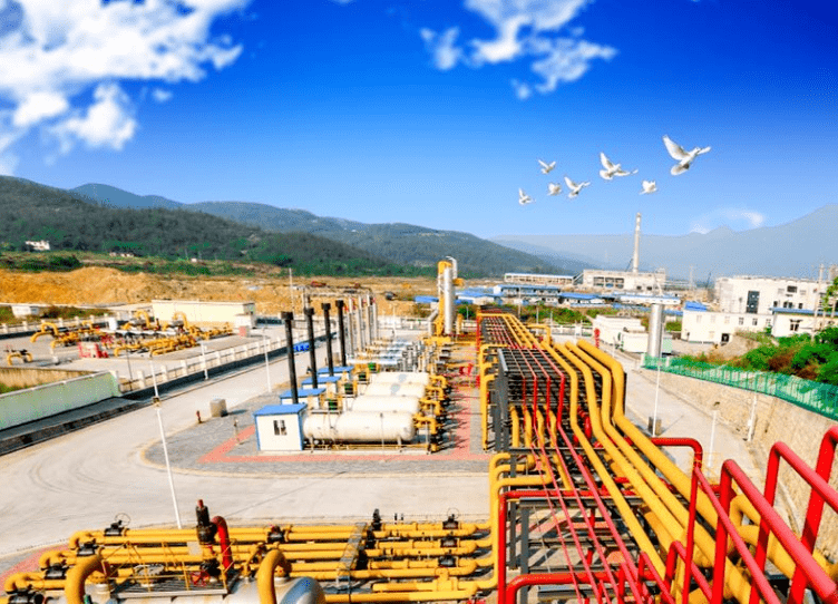 中印增兵最新动态，深度解析与前沿观察（涉政问题）