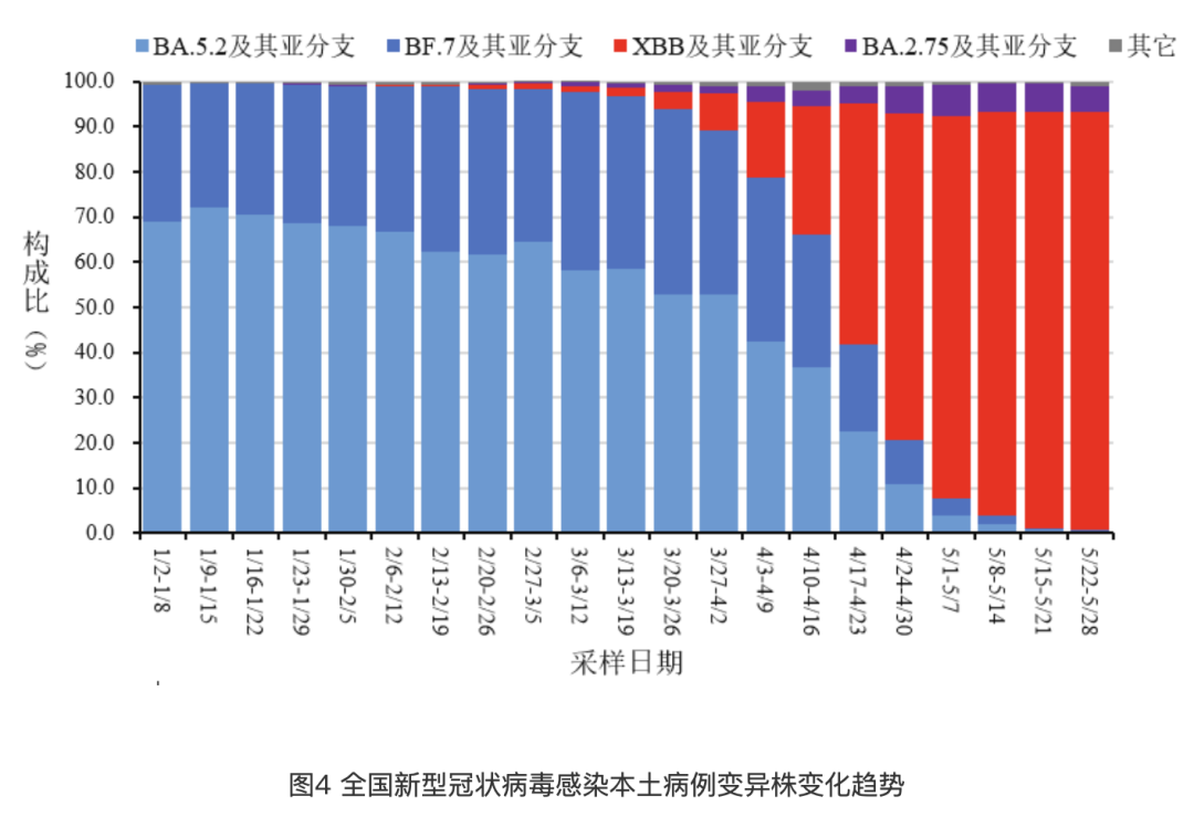 贵州新冠疫情实时数据更新概览,今年最新动态分析