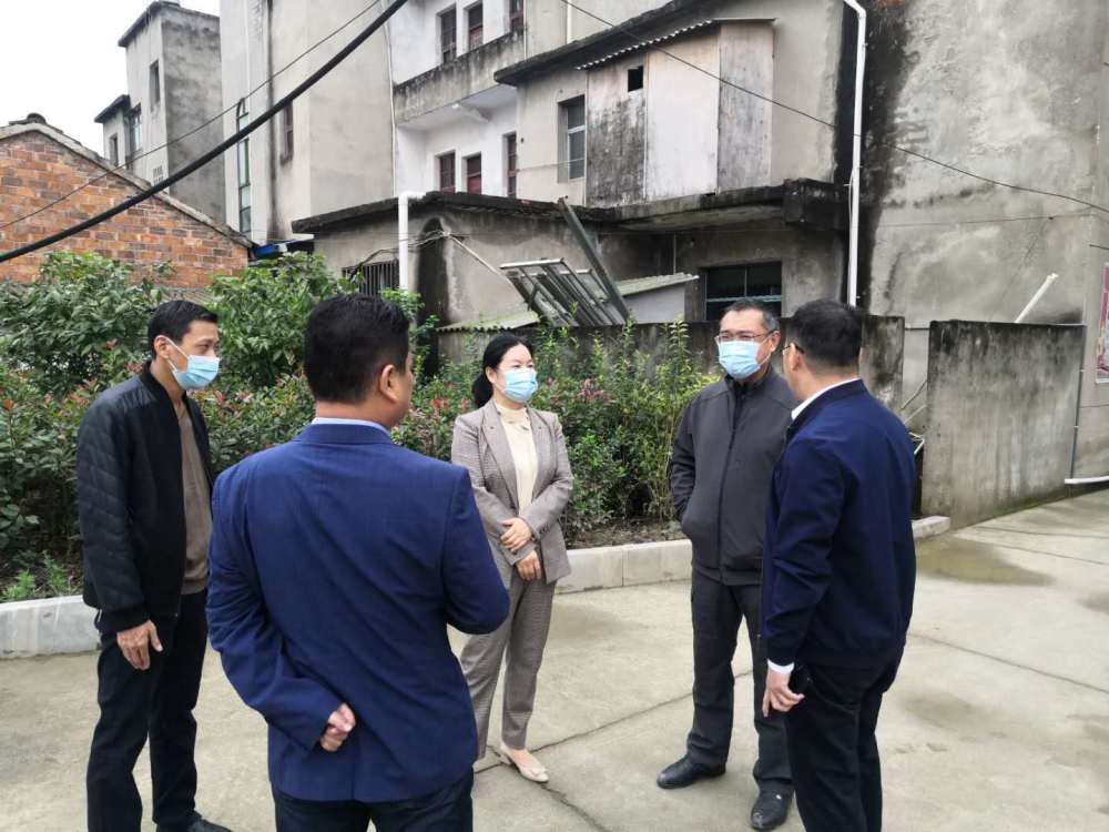 2024年11月10日阳新县实时疫情动态与深度观察