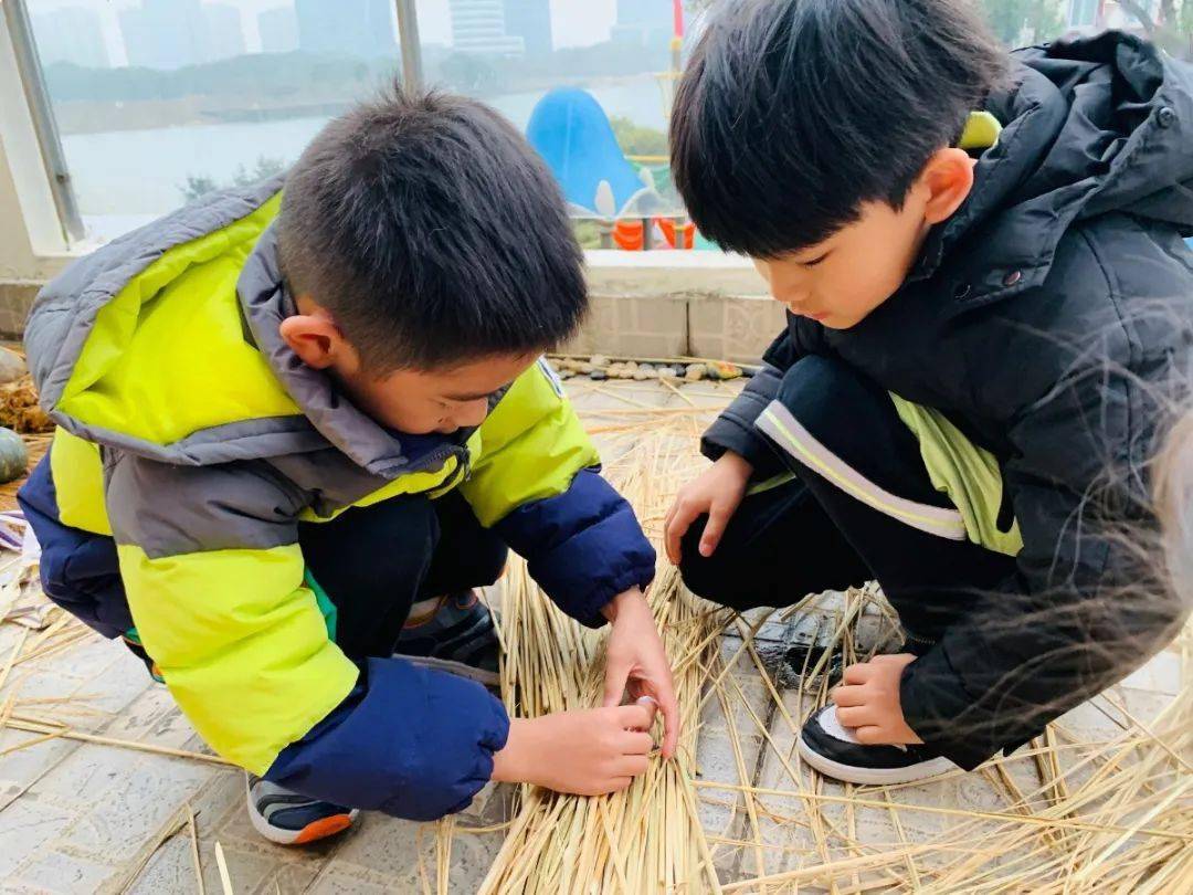 莱芜新增病例动态下的自然探索与内心宁静之旅