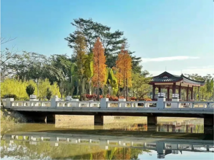 西湖景区实时画面，自然美景与现代文明的和谐共生之美