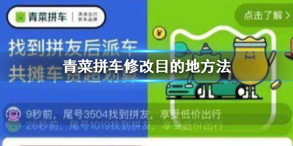 青菜拼车与实时拼车解析，差异与特点对比