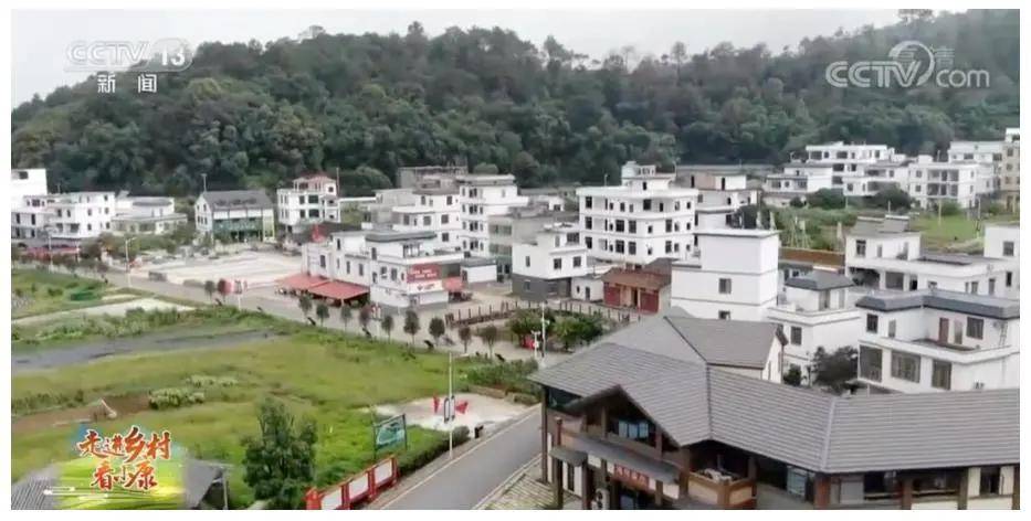 清远乡镇实时小视频，展现乡村魅力，拉近城乡距离