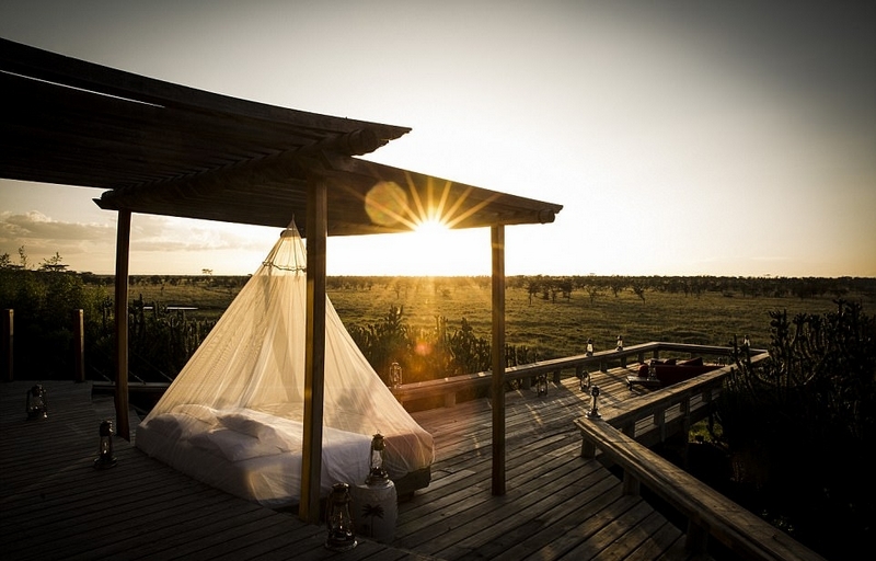 揭秘鸟巢实时温度，探寻自然庇护所内的温暖温度