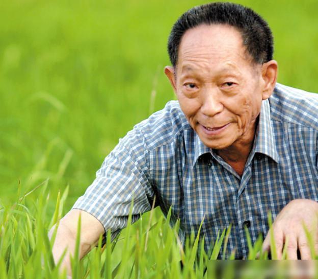 袁隆平院士逝世周年纪念深度解读，澎湃实时直播回放回顾与致敬时刻