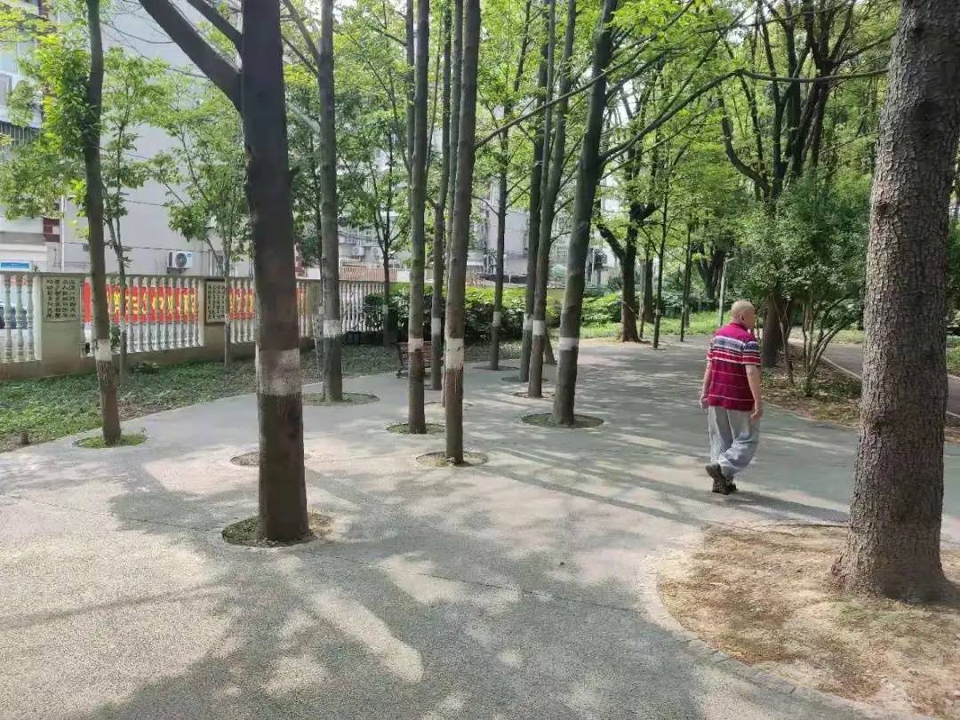 草率从事 第5页