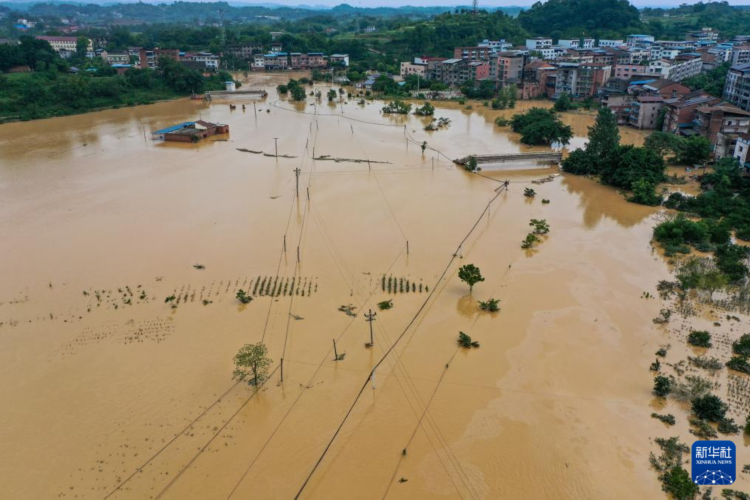 汉寿洞庭湖洪水最新实时情况分析报告及实时更新资讯