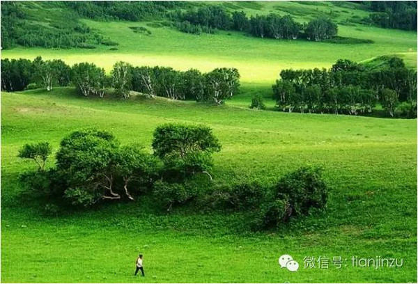 九红草原风光路实时路况深度解析与旅游指南