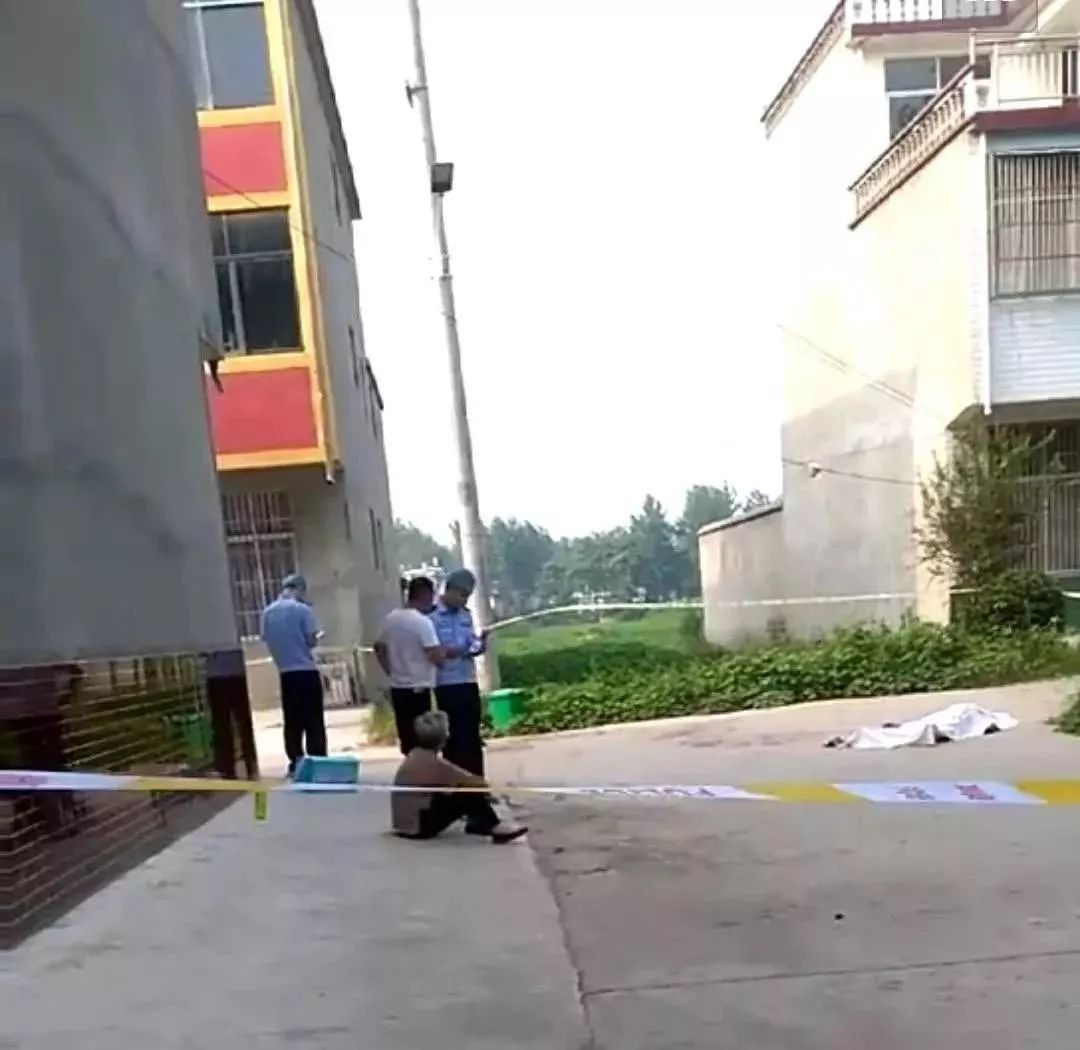 涡阳县最新发展动态深度解析，影响与最新消息探讨