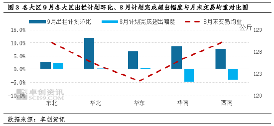 红菜苔实时市场价概览，市场分析、趋势预测与价格动态更新