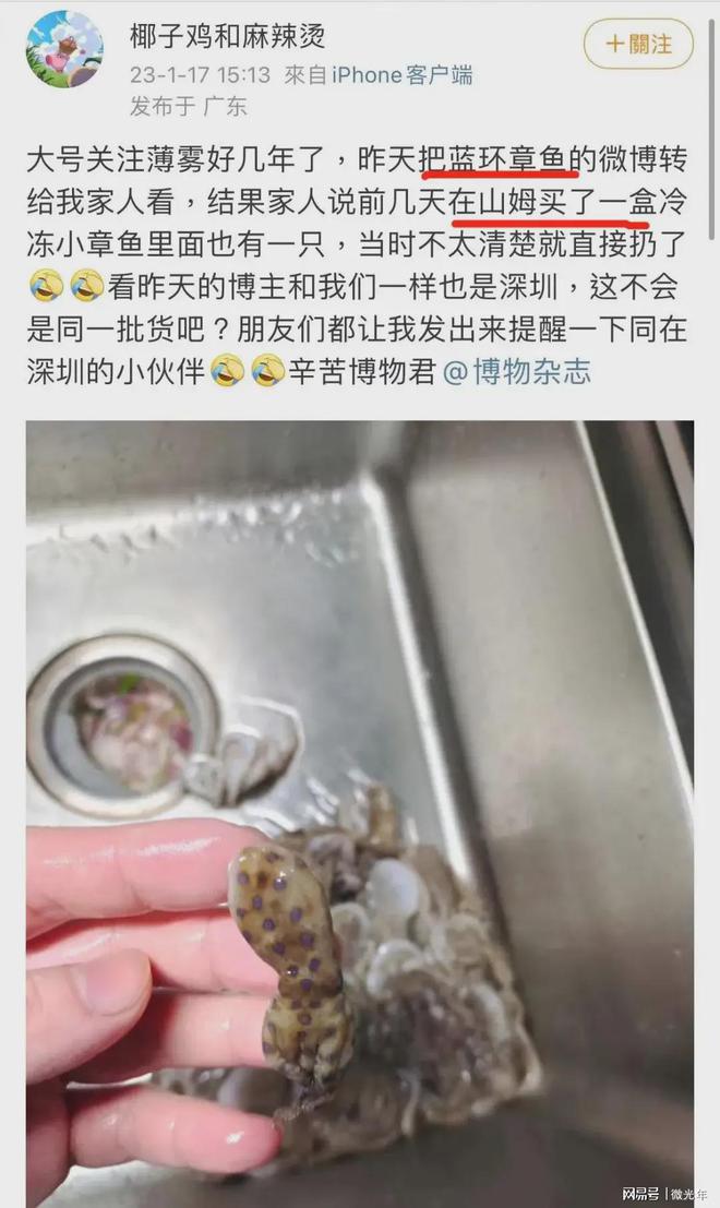 青浦山姆超市最新实时消息与今日动态体验报告