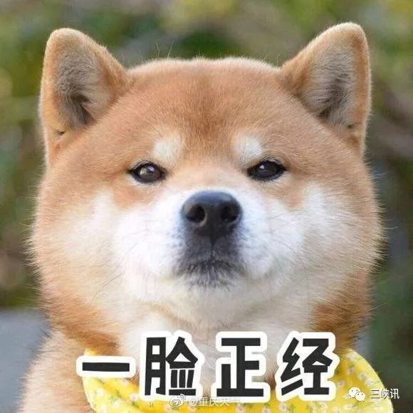 万州天气预报实时更新表，掌握天气动态，科学安排生活