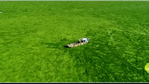 鄱阳湖草海，四季生态魅力与实时景色之旅