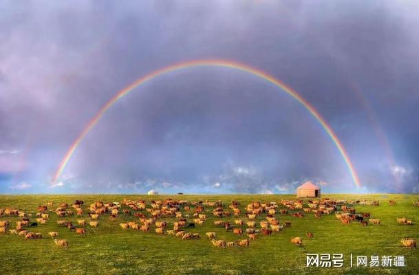 笼鸟槛猿 第5页